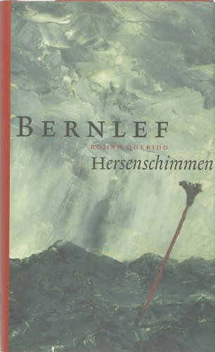 Hersenschimmen book cover