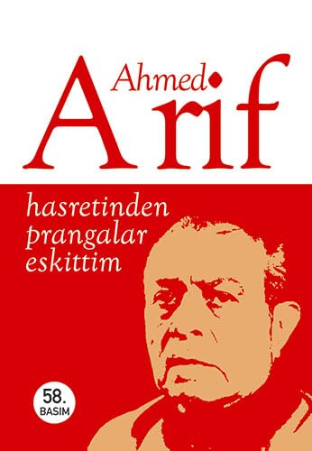 Hasretinden Prangalar Eskittim book cover
