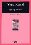 Ağrıdağı Efsanesi book cover