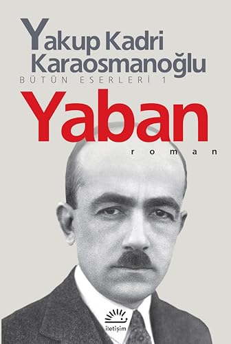 Yaban book cover