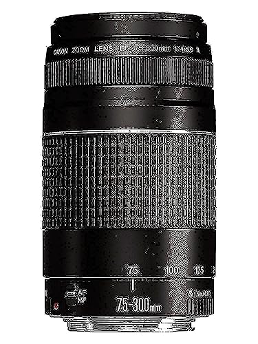 Canon 75-300mm f/4-5.6 III Telephoto