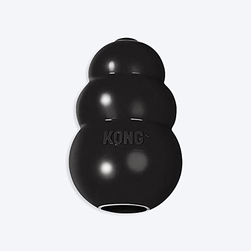 KONG Extreme Dog Toy, Large