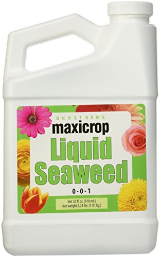 Maxicrop Liquid Seaweed Concentrate