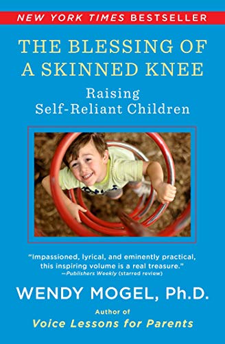 The Blessing of a Skinned Knee: Using Jewish Teachings to Raise Self-Reliant Children book cover