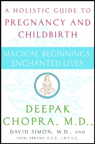 Magical Beginnings, Enchanted Lives: A Holistic Guide to Pregnancy and Childbirth book cover
