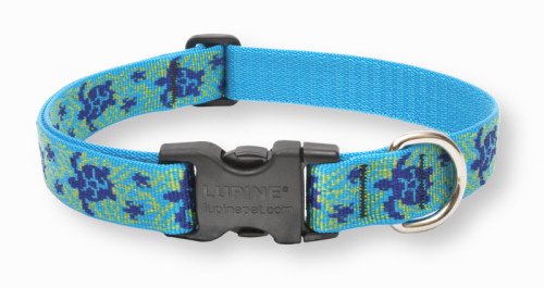 LupinePet Originals 1" Turtle Reef Adjustable Collar, 12-20"