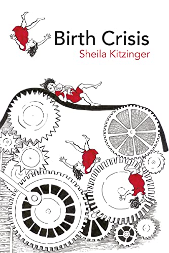 Birth Crisis book cover