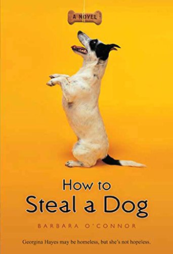 How to Steal a Dog book cover