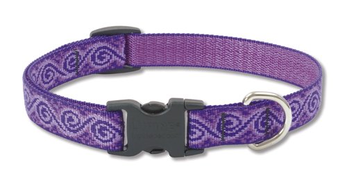 LupinePet Originals 3/4" Jelly Roll Adjustable Collar, 15-25"