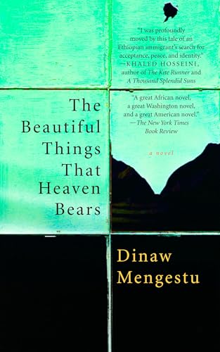 The Beautiful Things That Heaven Bears book cover