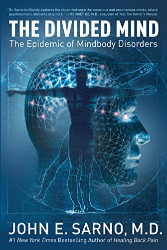 The Divided Mind: The Epidemic of Mindbody Disorders book cover