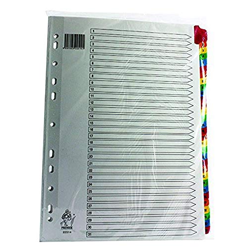 Rexel Mylar Intercalaires en Plastique Renforcés Multicolores 1-31 - A4 (Blanc)