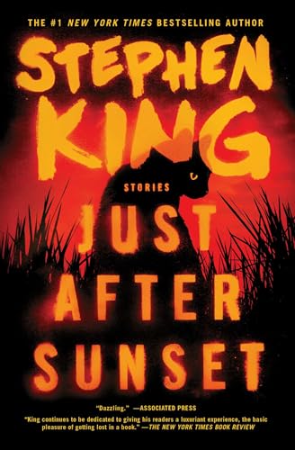 Just After Sunset book cover