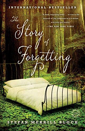 The Story of Forgetting book cover