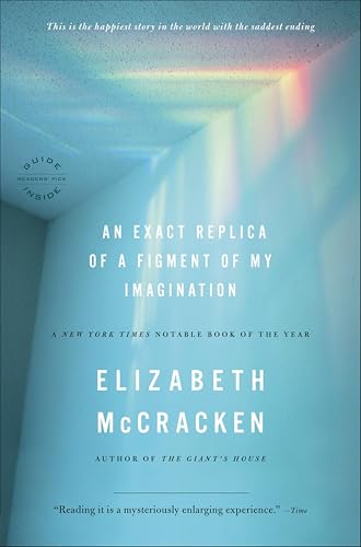 An Exact Replica of a Figment of My Imagination book cover