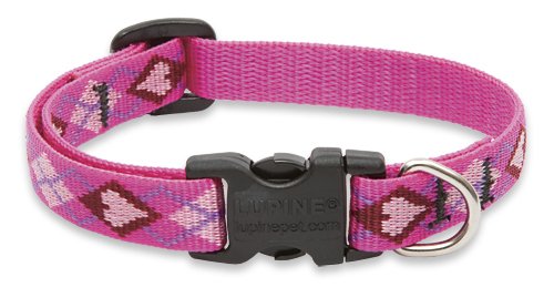 LupinePet Originals 1/2" Puppy Love Adjustable Collar, 6-9"