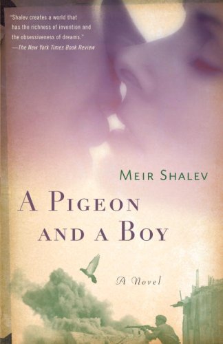 A Pigeon and a Boy book cover