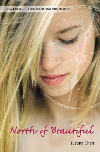 North of Beautiful book cover
