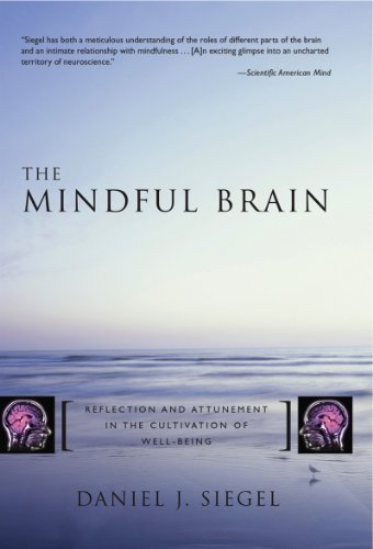 The Mindful Brain: Reflection and Attunement in the Cultivation of Well-Being book cover
