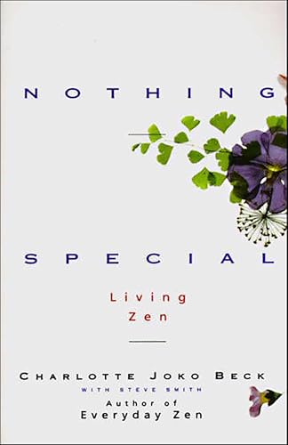 Nothing Special book cover