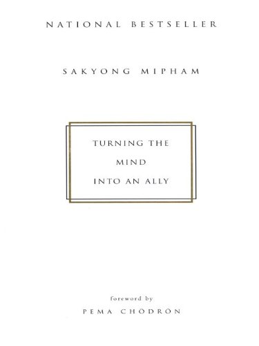 Turning the Mind Into an Ally book cover