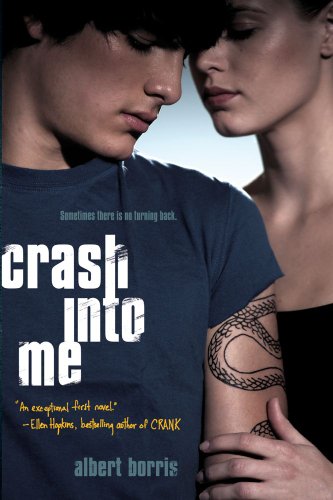 Crash Into Me book cover
