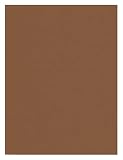 Prang Formerly Sunworks Construction Paper Brown 9 X 12 100