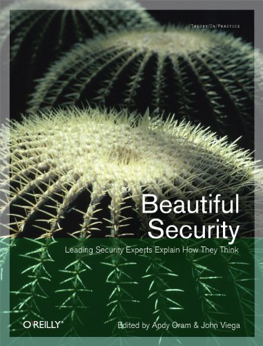 Beautiful Security: Leading Security Experts Explain How They Think (Theory In Practice, #28) book cover