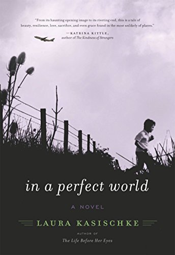 In a Perfect World book cover