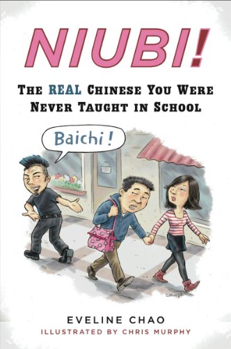 Niubi!: The Real Chinese You Were Never Taught in School book cover