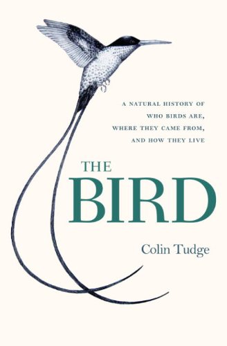 The Bird: A Natural History of Who Birds Are, Where They Came From & How They Live book cover