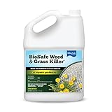 BioSafe Weed & Grass Killer