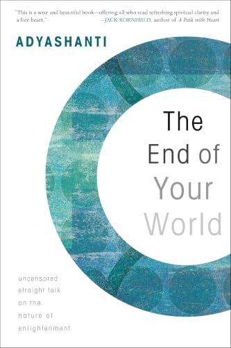 The End of Your World book cover