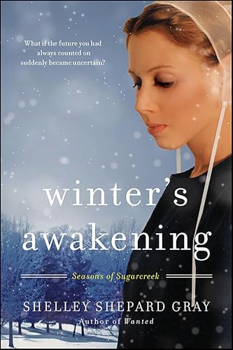 Winter's Awakening (Seasons of Sugarcreek, #1) book cover