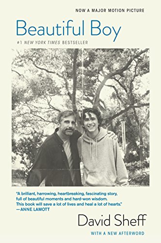 Beautiful Boy: A Father's Journey Through His Son's Addiction book cover