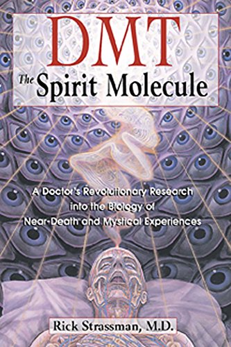 DMT: The Spirit Molecule book cover