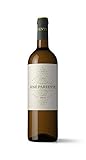 José Pariente Verdejo Mejores Vinos con Hamburguesa Vegetariana