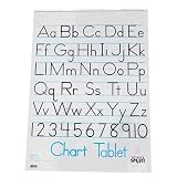 School Smart Chart Paper Pad, 32 x 24 Inches, 1-1/2 Inch Rule, 25 Sheets