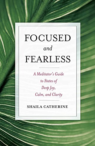 Focused and Fearless: A Meditator's Guide to States of Deep Joy, Calm, and Clarity book cover
