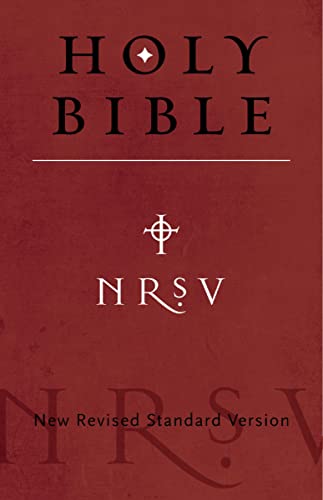 NRSV, Cultural Backgrounds Study Bible, eBook: Bringing to Life the Ancient World of Scripture book cover
