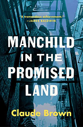 Manchild in the Promised Land book cover