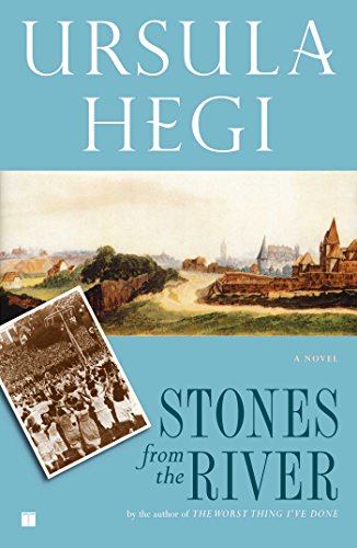 Stones from the River (Burgdorf Cycle, #1) book cover