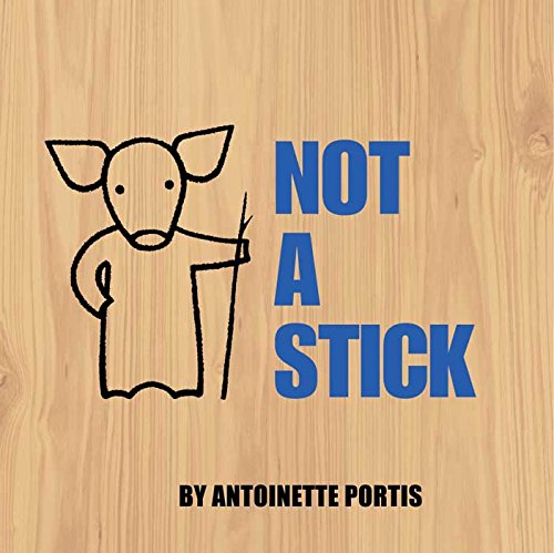 Not a Stick book cover