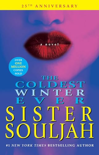 The Coldest Winter Ever book cover