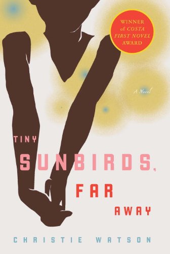 Tiny Sunbirds, Far Away book cover