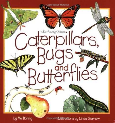 Caterpillars, Bugs and Butterflies: Take-Along Guide book cover