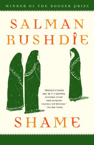 Shame book cover