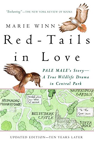 Red-tails in Love: Pale Male's Story—A True Wildlife Drama in Central Park book cover