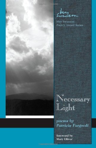 Necessary Light book cover