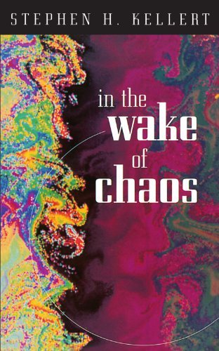 In the Wake of Chaos: Unpredictable Order in Dynamical Systems book cover